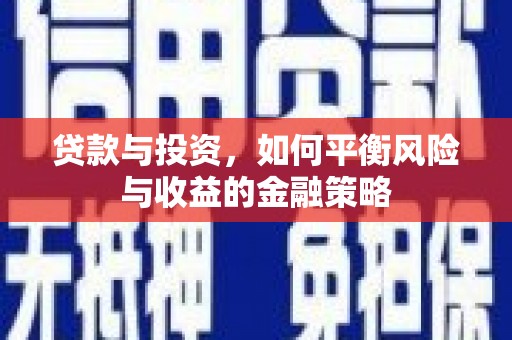 龙胜贷款与投资，如何平衡风险与收益的金融策略